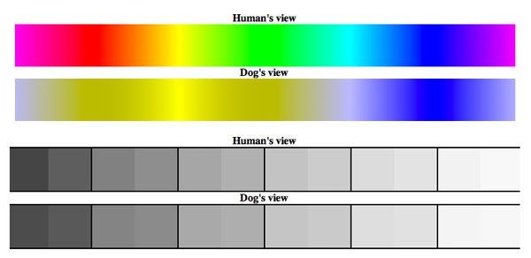 Visual Spectrum Chart