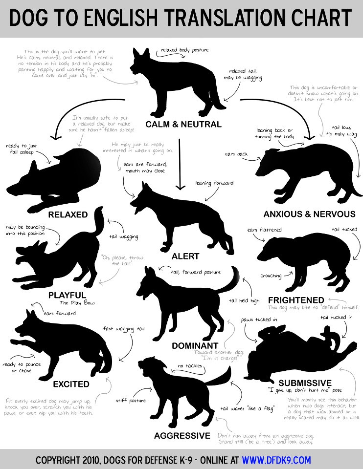 Dog Body Language Chart Pdf